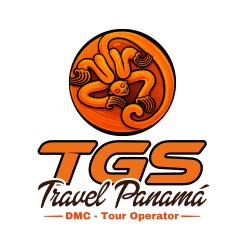 Logo TGS birdes negros